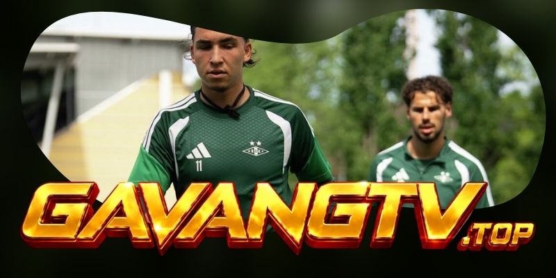 Tổng hợp dự đoán kèo Rosenborg vs Fredrikstad ngày 28/07 theo sức ép sân nhà