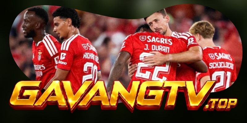 Dự Đoán Trận Benfica Vs Viseu 02h30 10/08