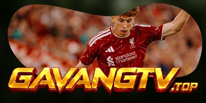 Tổng hợp dự đoán kèo Newcastle United vs Liverpool ngày 23/08 theo thế trận tăng tốc muộn