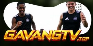 Dự Đoán Trận Newcastle United Vs Liverpool 22h30 23/08