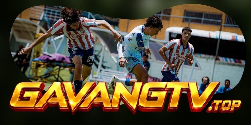 Tổng hợp dự đoán kèo Pachuca vs Puebla ngày 18/08 theo sức ép bóng hai