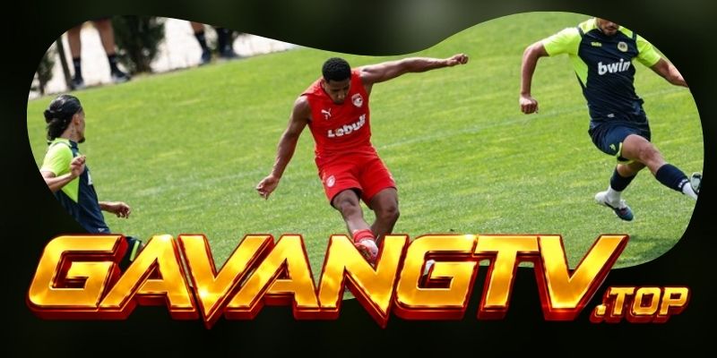 Tổng hợp kèo Santa Clara vs Nacional da Madeira 11/08