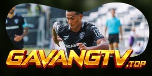 Dự Đoán Trận Viseu Vs Santa Clara 00h00 16/08